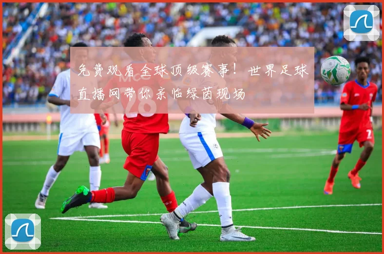 免费观看全球顶级赛事!世界足球直播网带你亲临绿茵现场
