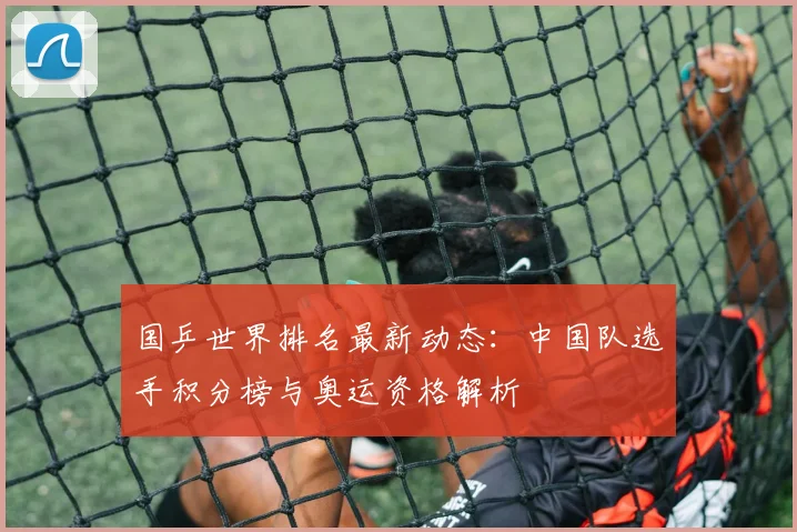国乒世界排名最新动态：中国队选手积分榜与奥运资格解析